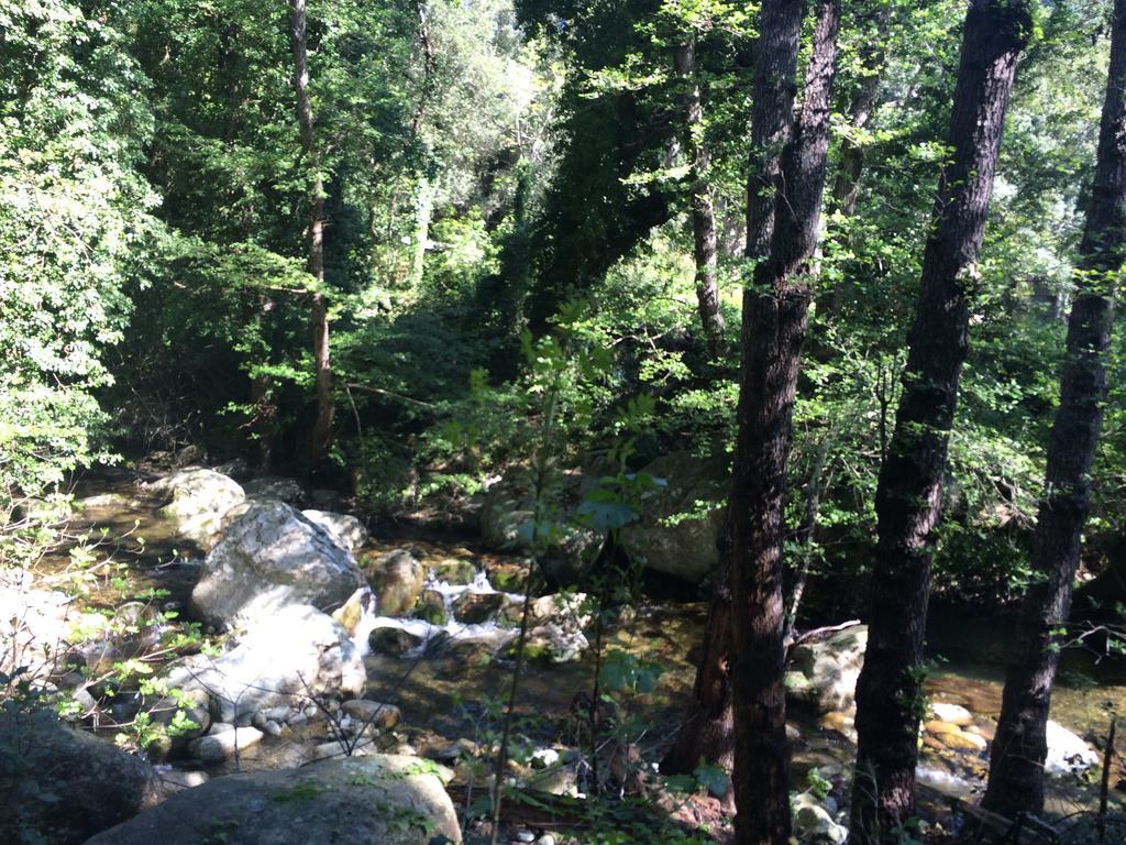 Gite U Licetu A La Campagne Oreta Bagian luar foto