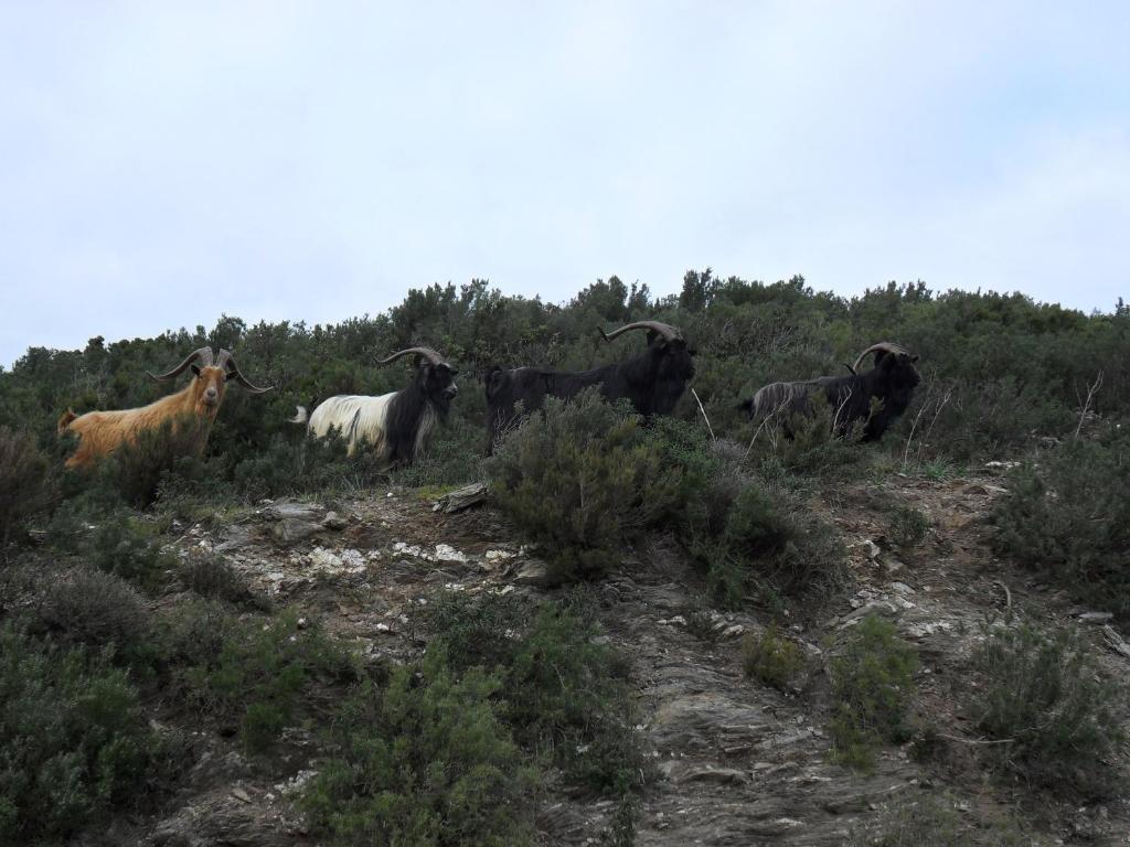 Gite U Licetu A La Campagne Oreta Bagian luar foto